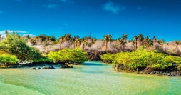 Découverte tropicale aux îles Galápagos