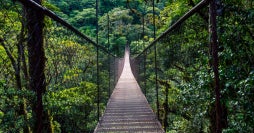 Le meilleur du Panama: Boquete et Bocas